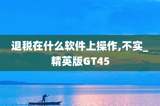 退税在什么软件上操作,不实_精英版GT45