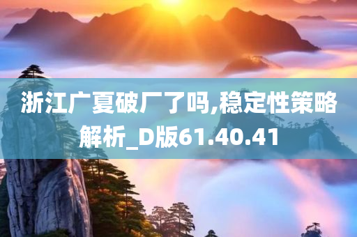 浙江广夏破厂了吗,稳定性策略解析_D版61.40.41