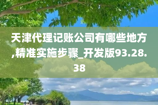 天津代理记账公司有哪些地方,精准实施步骤_开发版93.28.38