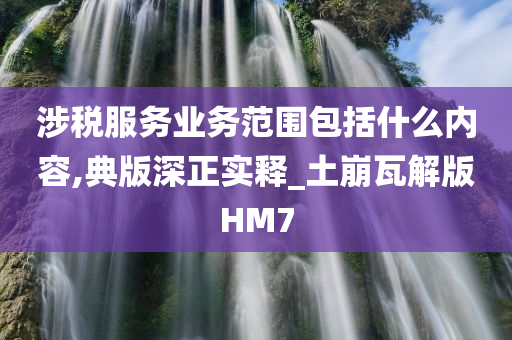 涉税服务业务范围包括什么内容,典版深正实释_土崩瓦解版HM7