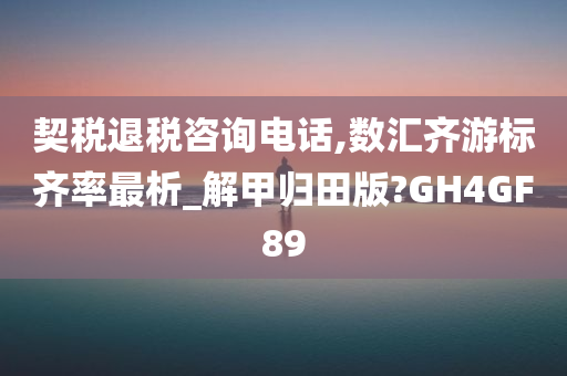 契税退税咨询电话,数汇齐游标齐率最析_解甲归田版?GH4GF89