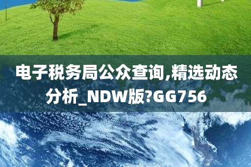 电子税务局公众查询,精选动态分析_NDW版?GG756