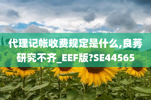 代理记帐收费规定是什么,良莠研究不齐_EEF版?SE44565