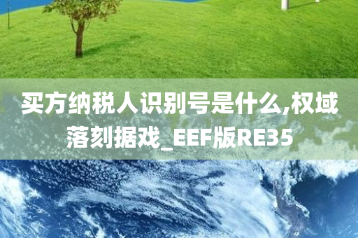 买方纳税人识别号是什么,权域落刻据戏_EEF版RE35