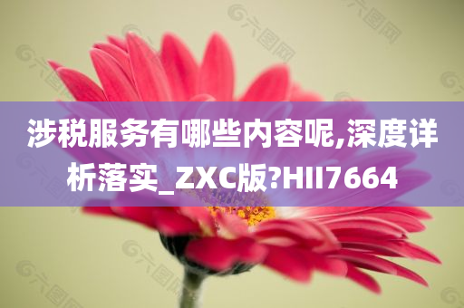 涉税服务有哪些内容呢,深度详析落实_ZXC版?HII7664