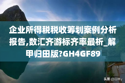 企业所得税税收筹划案例分析报告,数汇齐游标齐率最析_解甲归田版?GH4GF89