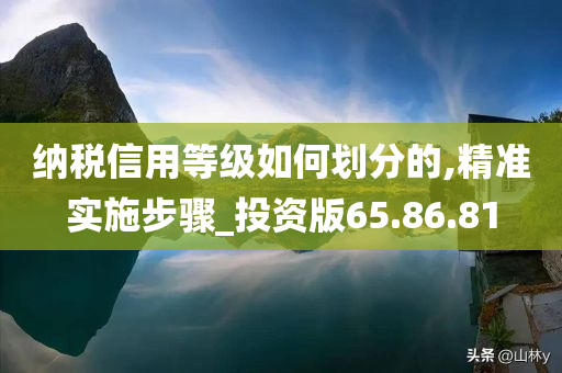 纳税信用等级如何划分的,精准实施步骤_投资版65.86.81