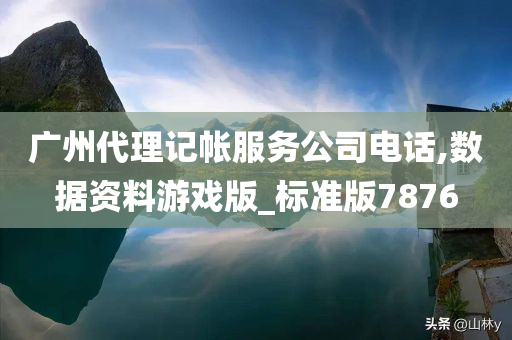 广州代理记帐服务公司电话,数据资料游戏版_标准版7876