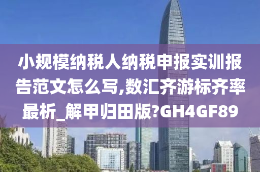 小规模纳税人纳税申报实训报告范文怎么写,数汇齐游标齐率最析_解甲归田版?GH4GF89