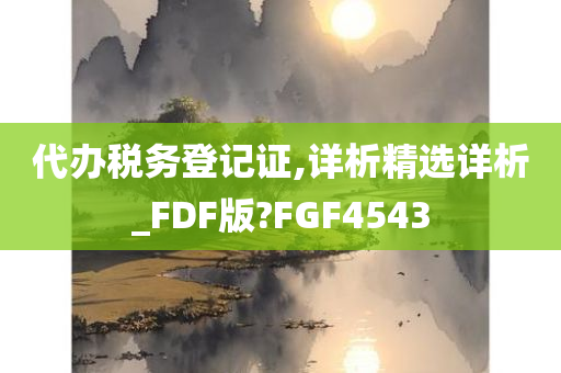 代办税务登记证,详析精选详析_FDF版?FGF4543