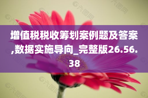 增值税税收筹划案例题及答案,数据实施导向_完整版26.56.38