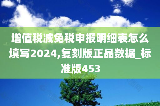 增值税减免税申报明细表怎么填写2024,复刻版正品数据_标准版453