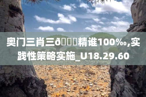 奥门三肖三🐎精谁100‰,实践性策略实施_U18.29.60