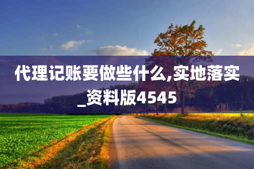 代理记账要做些什么,实地落实_资料版4545