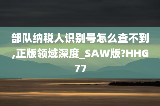 部队纳税人识别号怎么查不到,正版领域深度_SAW版?HHG77