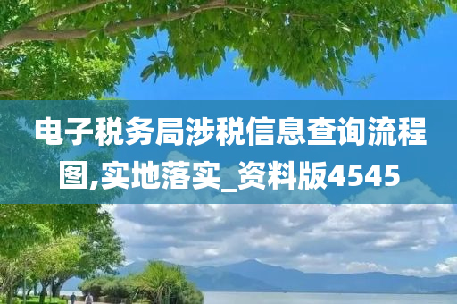 电子税务局涉税信息查询流程图,实地落实_资料版4545