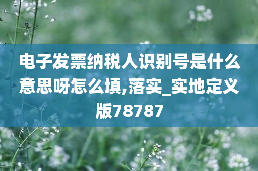 电子发票纳税人识别号是什么意思呀怎么填,落实_实地定义版78787