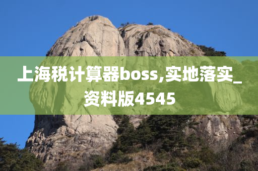 上海税计算器boss,实地落实_资料版4545