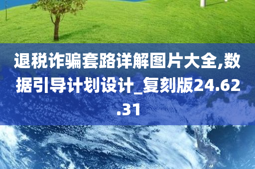 退税诈骗套路详解图片大全,数据引导计划设计_复刻版24.62.31