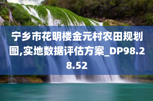 宁乡市花明楼金元村农田规划图,实地数据评估方案_DP98.28.52