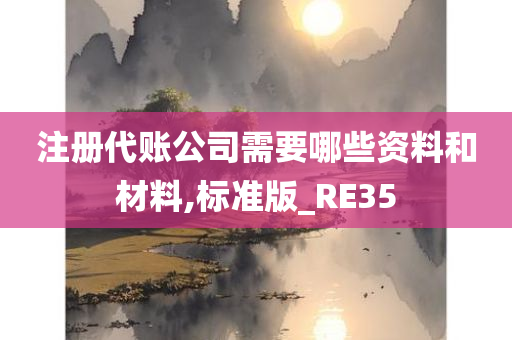 注册代账公司需要哪些资料和材料,标准版_RE35