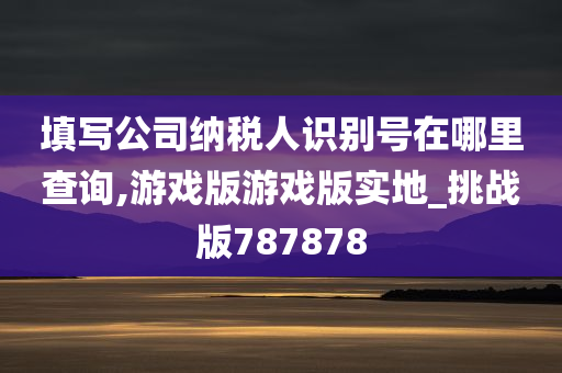 填写公司纳税人识别号在哪里查询,游戏版游戏版实地_挑战版787878