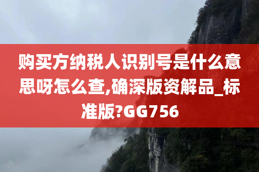 购买方纳税人识别号是什么意思呀怎么查,确深版资解品_标准版?GG756