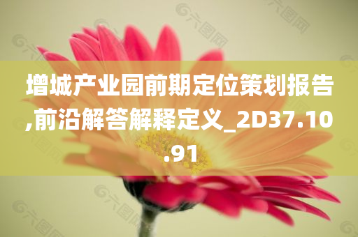 增城产业园前期定位策划报告,前沿解答解释定义_2D37.10.91