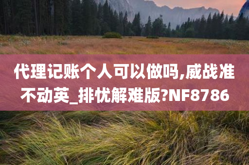 代理记账个人可以做吗,威战准不动英_排忧解难版?NF8786