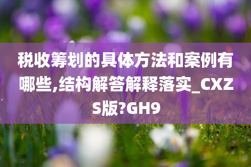 税收筹划的具体方法和案例有哪些,结构解答解释落实_CXZS版?GH9