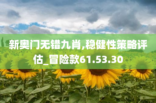 新奥门无错九肖,稳健性策略评估_冒险款61.53.30