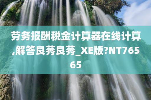 劳务报酬税金计算器在线计算,解答良莠良莠_XE版?NT76565