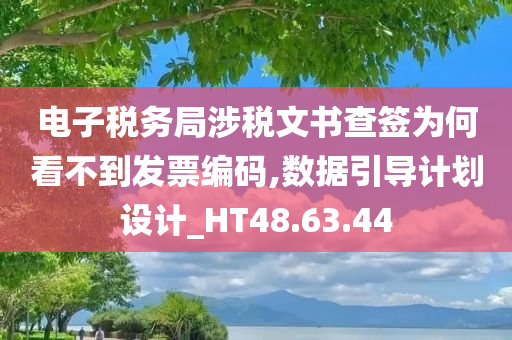 电子税务局涉税文书查签为何看不到发票编码,数据引导计划设计_HT48.63.44