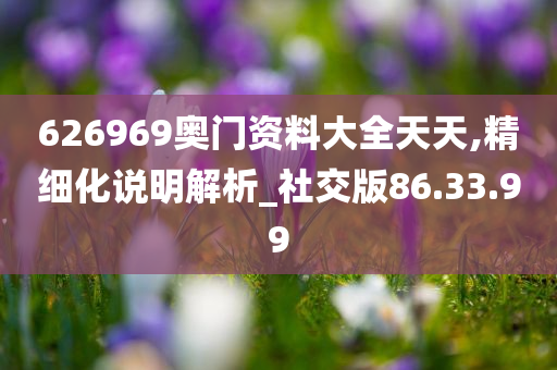 626969奥门资料大全天天,精细化说明解析_社交版86.33.99