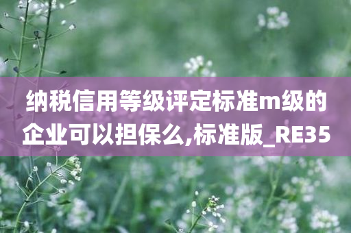 纳税信用等级评定标准m级的企业可以担保么,标准版_RE35