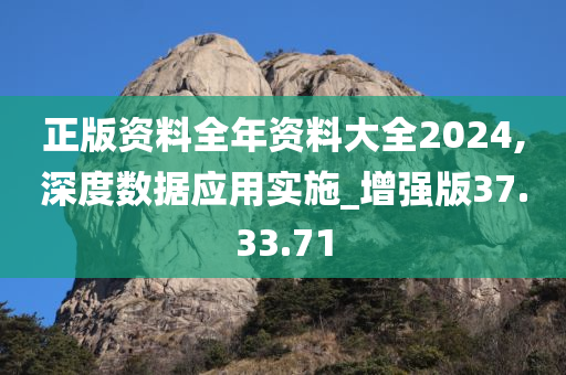 正版资料全年资料大全2024,深度数据应用实施_增强版37.33.71