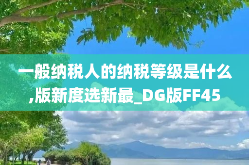 一般纳税人的纳税等级是什么,版新度选新最_DG版FF45