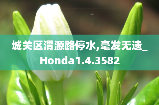 城关区渭源路停水,毫发无遗_Honda1.4.3582