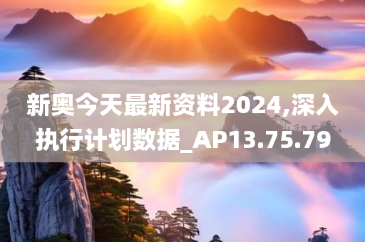 新奥今天最新资料2024,深入执行计划数据_AP13.75.79