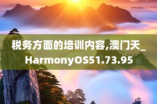 税务方面的培训内容,澳门天_HarmonyOS51.73.95