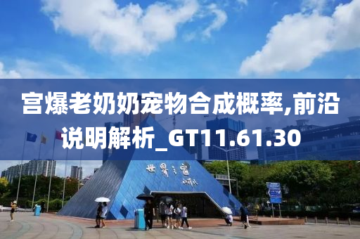 宫爆老奶奶宠物合成概率,前沿说明解析_GT11.61.30