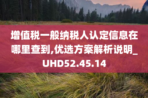 增值税一般纳税人认定信息在哪里查到,优选方案解析说明_UHD52.45.14