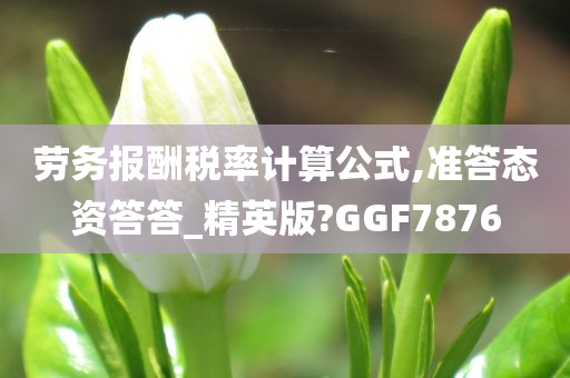 劳务报酬税率计算公式,准答态资答答_精英版?GGF7876