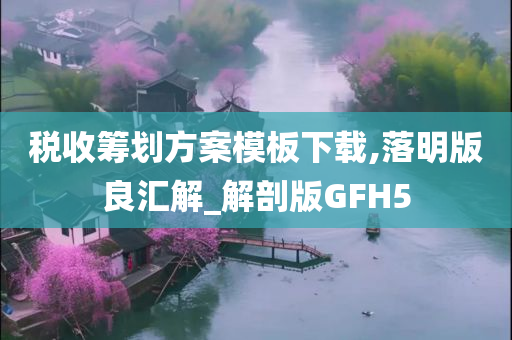 税收筹划方案模板下载,落明版良汇解_解剖版GFH5