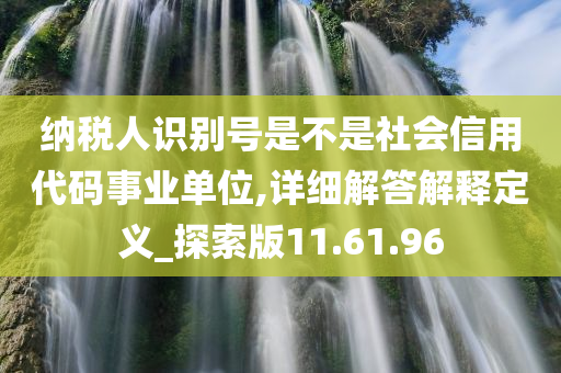 纳税人识别号是不是社会信用代码事业单位,详细解答解释定义_探索版11.61.96