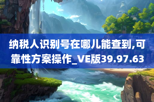 纳税人识别号在哪儿能查到,可靠性方案操作_VE版39.97.63