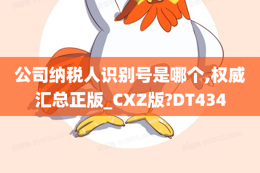 公司纳税人识别号是哪个,权威汇总正版_CXZ版?DT434