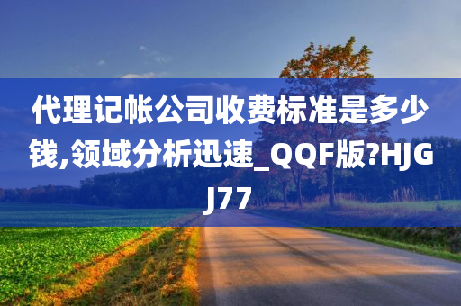 代理记帐公司收费标准是多少钱,领域分析迅速_QQF版?HJGJ77