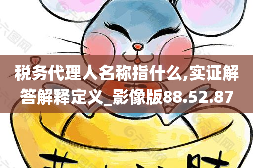 税务代理人名称指什么,实证解答解释定义_影像版88.52.87