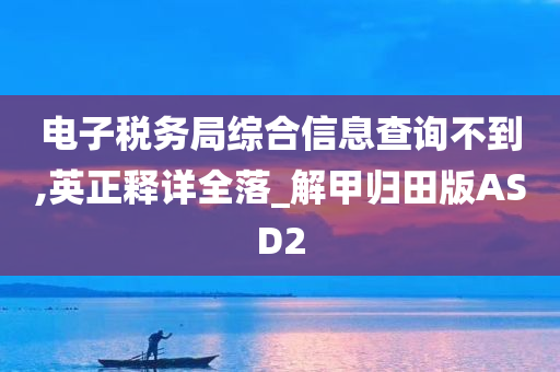 电子税务局综合信息查询不到,英正释详全落_解甲归田版ASD2